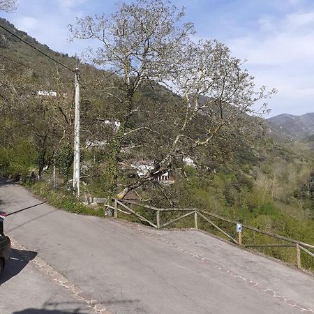 Aparatamento Rural El Oso 3 ポラ・デ・ソミエド エクステリア 写真